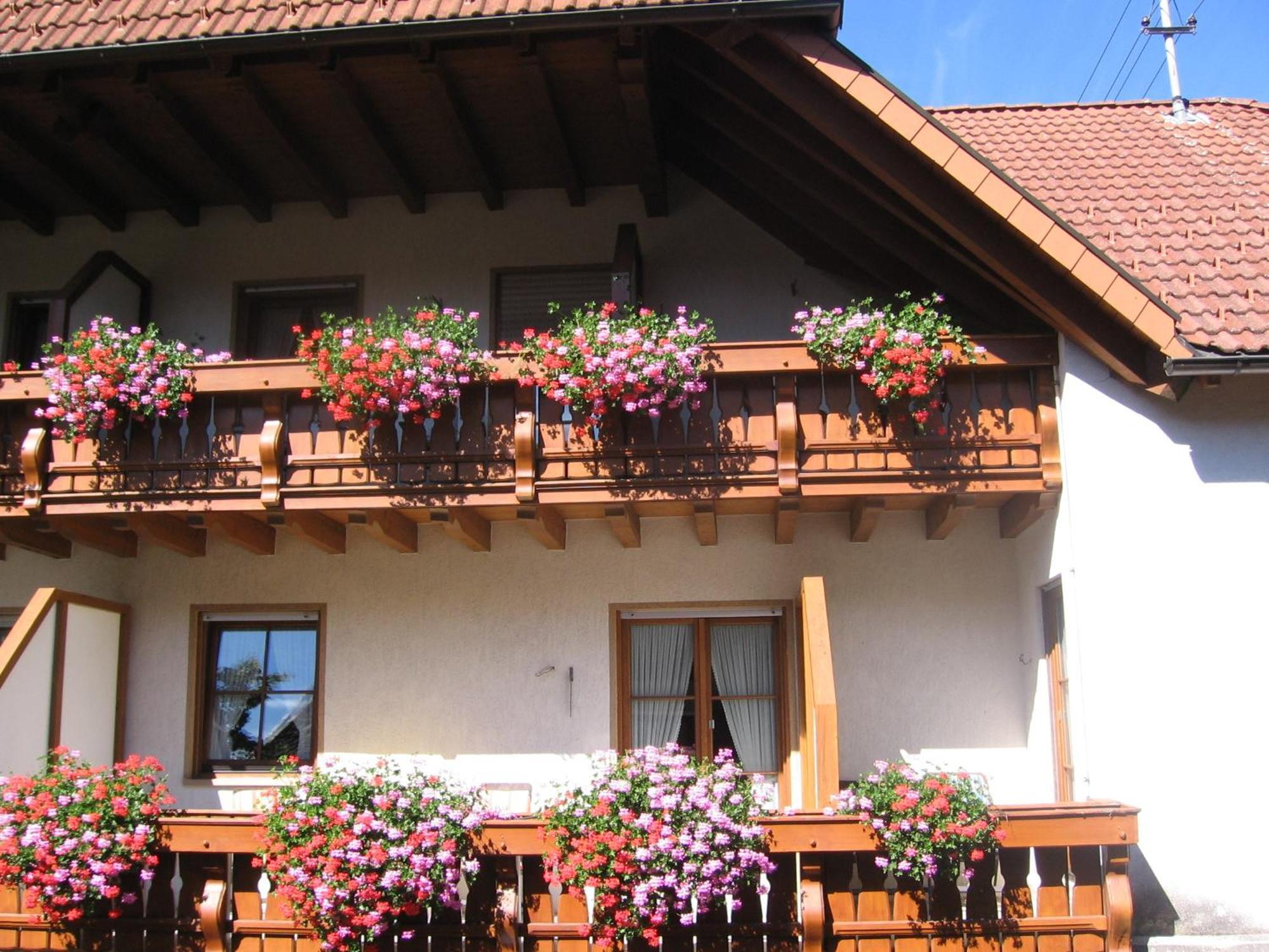 Hotel Gasthaus Zum Hirschen Simonswald Exterior photo